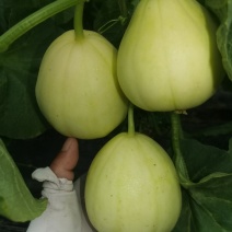 四千斤精密嘎嘣脆