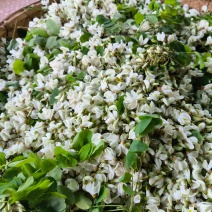 炒好的槐树花。60/斤
