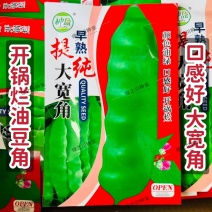 东北油豆角种子大宽角油豆种子无筋无柴架油豆种子荚宽