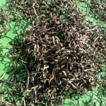 电商2毫米木耳丝优质无根木耳丝自产自销好木耳丝剪根木耳丝