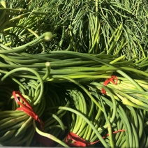 山东金乡蒜苔电商一件代发