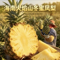海南冬蜜凤梨支持整车物流发货，各大电商平台一件等等