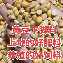 碎黄豆
