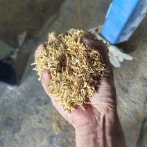 稻壳统糠筛糠