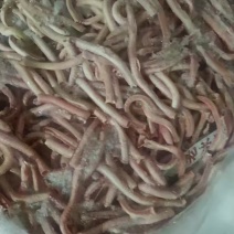 鹅气管