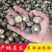 香菇产地直销批发厚肉冬菇西峡小香菇干货剪脚香信菇饭店餐饮