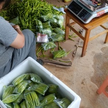 永州江华黄花菜