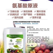 氨基酸水溶肥，生根壮苗，黄叶变绿，冲施2亩地