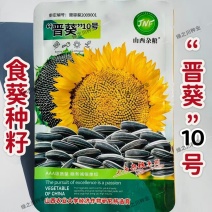 晋葵10号向日葵种子食用葵花种籽高产优质食葵种子耐旱瓜籽