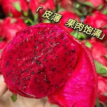 云南精品火龙果，基地直发，全国供应，可视频看货，量大从优