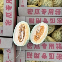 海南小蜜瓜