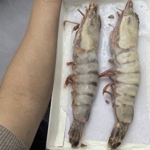 各种海鲜