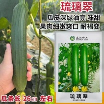 基地专用油皮丝瓜种籽耐褐变肉厚味浓商品性好结果多丝瓜种籽