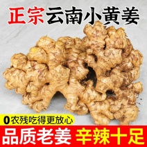 （云南小黄姜）一件代发/电商供应链/淘宝，抖音，团购代发