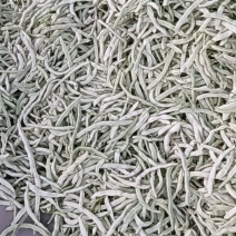 白豆
