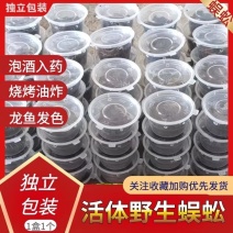 活体蜈蚣