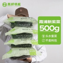 紫菜干货无料包霞浦特产免洗搭头水紫菜蛋花汤商用批发纯紫菜