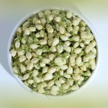 广西横县茉莉花蕾干，2026年新货