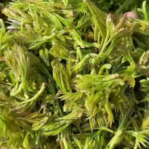 张家界莓茶