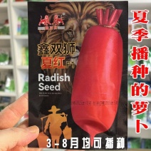 夏红夏秋萝卜种子红皮白肉脆甜微辣耐裂果不易糠心耐热萝卜种