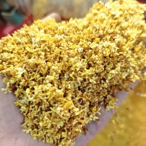 桂林干桂花