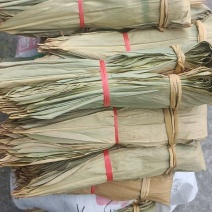 野生粽叶产地直发
