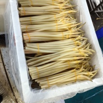产发直发新鲜藕带，品质有保障，欢迎咨询订购