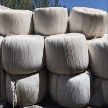 黄储打包好的产地直供一手货源欢迎来电