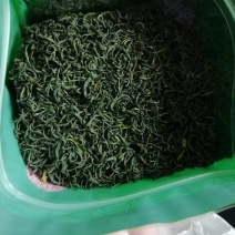 湖北竹山绿茶
