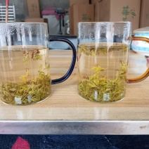 永顺莓茶