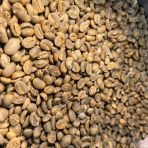 云南小粒咖啡豆基地直供价格优惠欢迎致电