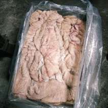 新鲜马板肠