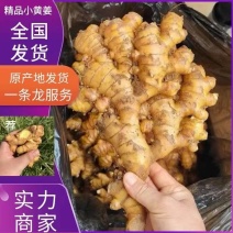 四川小黄姜主营【电商，出口，市场，药厂】全国发货