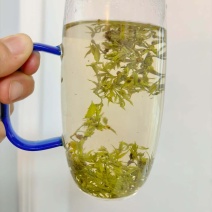张家界特产莓茶