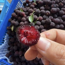 云南东魁杨梅