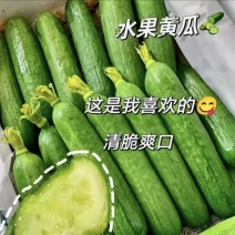 山西水果黄瓜小黄瓜，大量供应新鲜采摘货源充足
