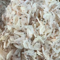 [牛]虾皮山东小虾皮规格齐全价格便宜电商团购