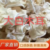 2026精选新货头茬白木耳竹耳产地