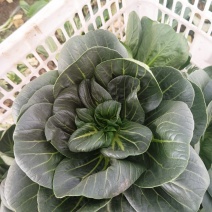 太湖菜