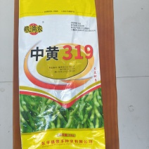 大豆种子