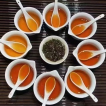 武夷山生态高山云雾茶
