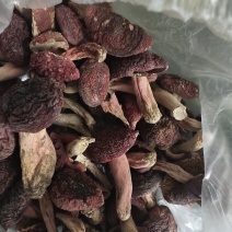 纯野生自采烘干红菇