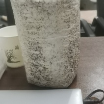 羊肚菌菌包