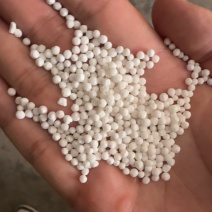 【西米露】2号西米，荷花西米