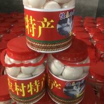 鹅蛋/桶装大鹅蛋/雁鹅蛋手续齐全随时看货