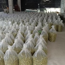 福建闽清青橄榄，大中小号齐全，产地直发品质保证