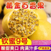 钦蜜九号黄金百香果电商一件代发产地直发
