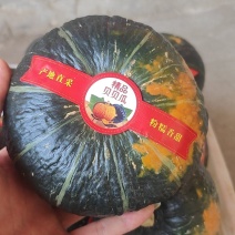 产地直供贝贝南瓜