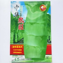 耐热香莴笋种籽大尖叶绿肉青香清脆爽口南北方均可播种莴笋种