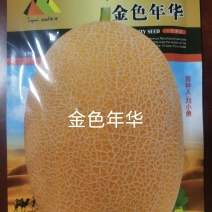 金色年华哈蜜瓜种大果抗病含糖高50克约1200粒